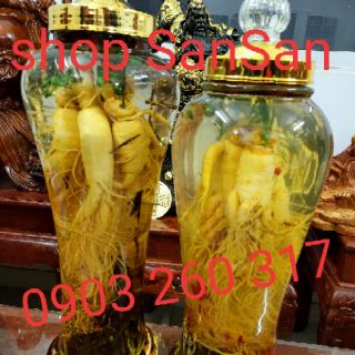 (Hàng có sẵn) Nhân Sâm tươi củ lớn