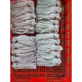 Râu mực to 1 kg