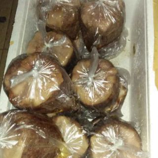 2kg bate gan hải phòng