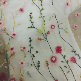 Set của hồng anh áo và váy