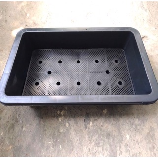 Combo 3 SP Khay trồng rau tại nhà 65x43x18cm