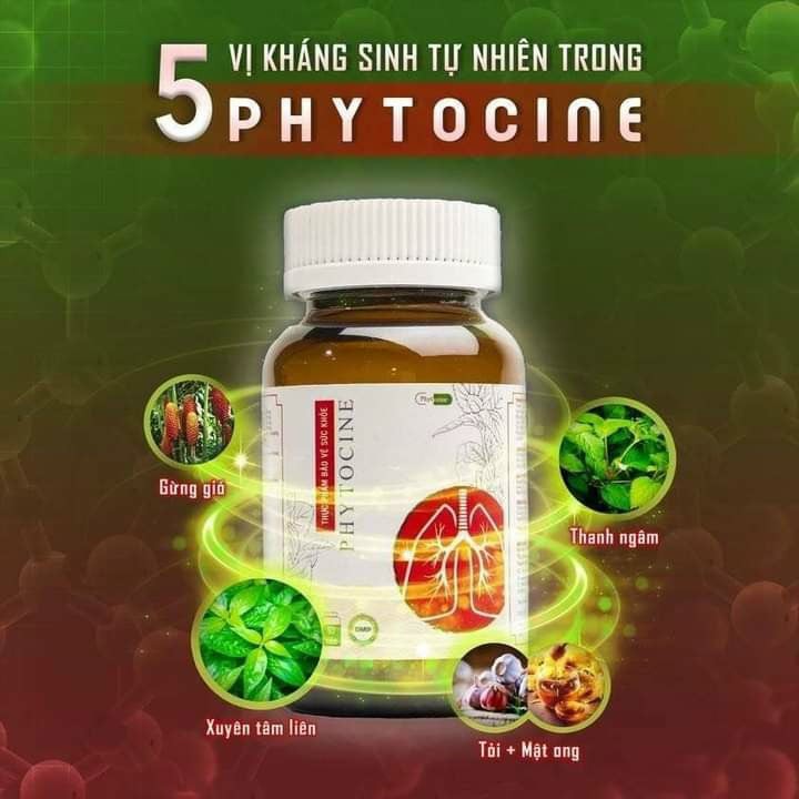 PHYTOCINE - Chiết xuất từ XUYÊN TÂM LIÊN hỗ trợ các bệnh đường hô hấp