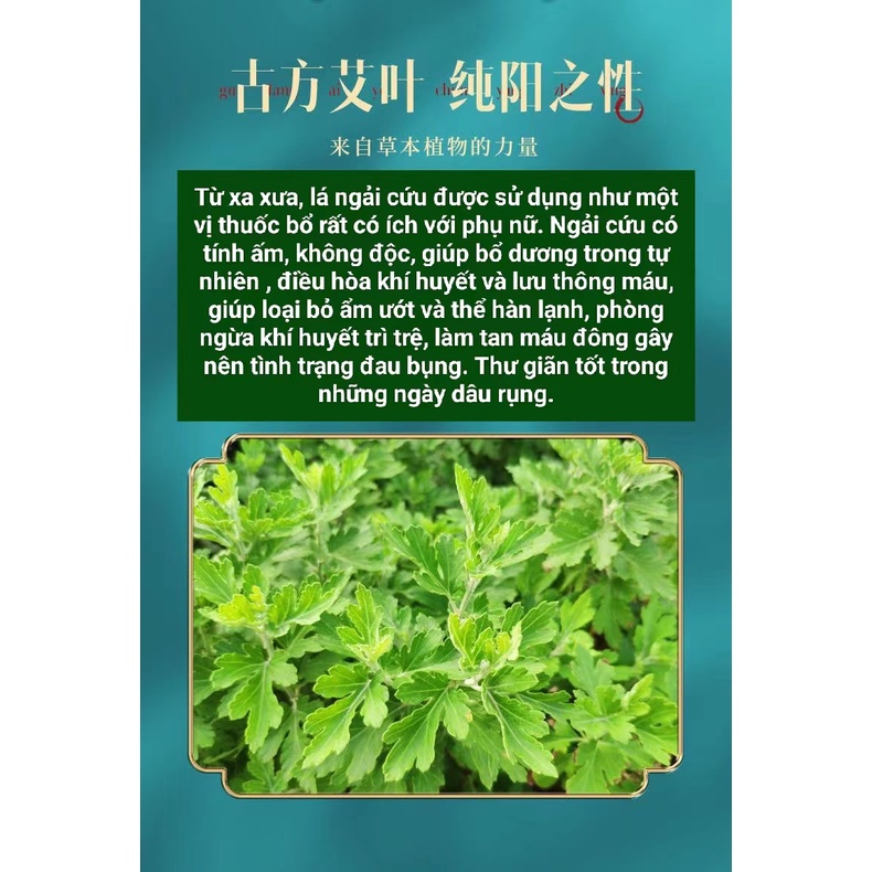 COMBO 5 GÓI BĂNG VỆ SINH THẢO DƯỢC NGẢI CỨU NANO BẠC KHÁNG KHUẨN 1MM AISHUBAO 245MM GÓI 10M NỘI ĐỊA TRUNG