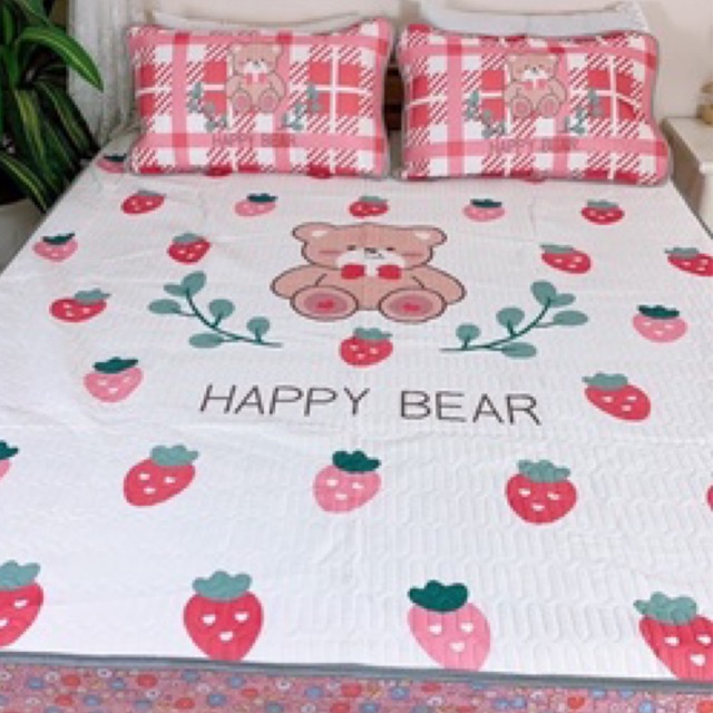 Chiếu bo chun cao su non 5D loại 1 thoáng mát ,dày dặn (tặng kèm 2 vỏ gối)