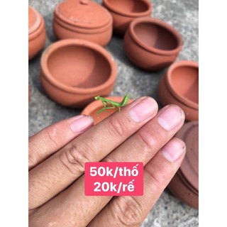 niêu đất / thố đất kho cá / cơm niêu