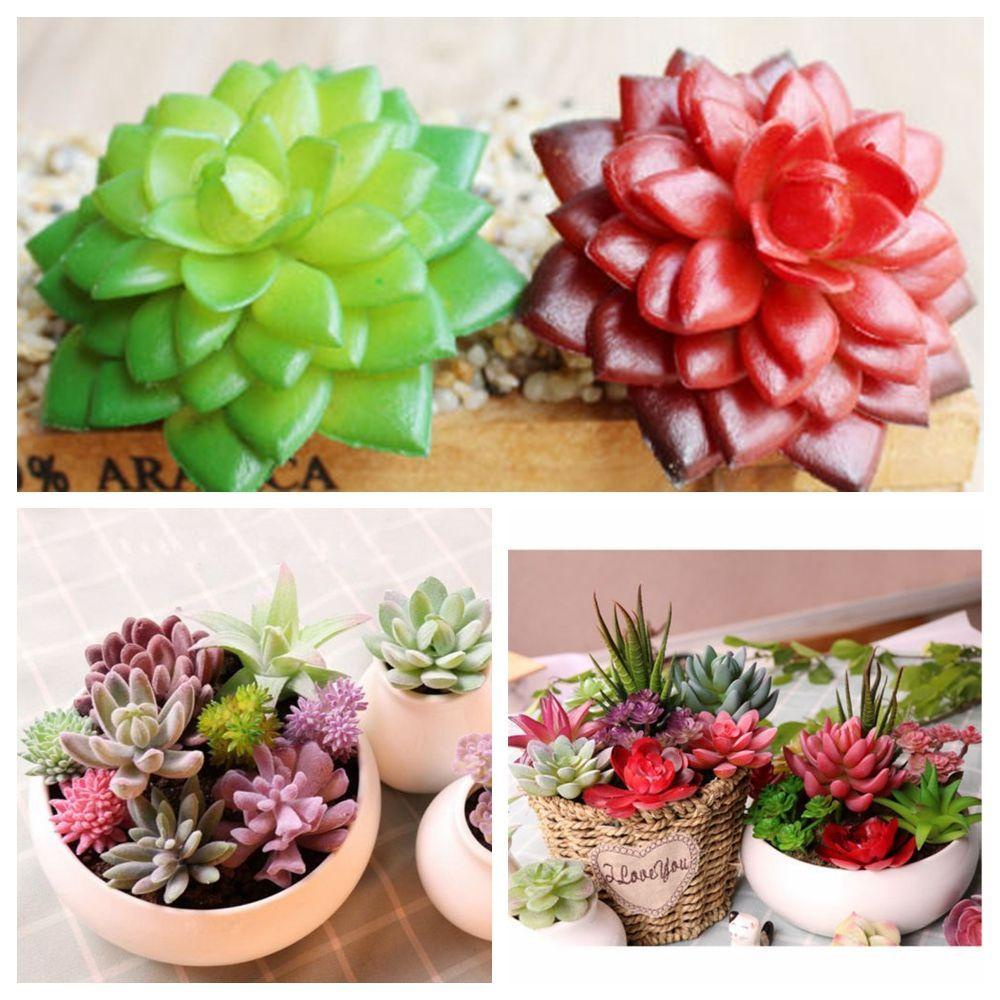 Cây Xương Rồng Giả Trang Trí Sân Vườn