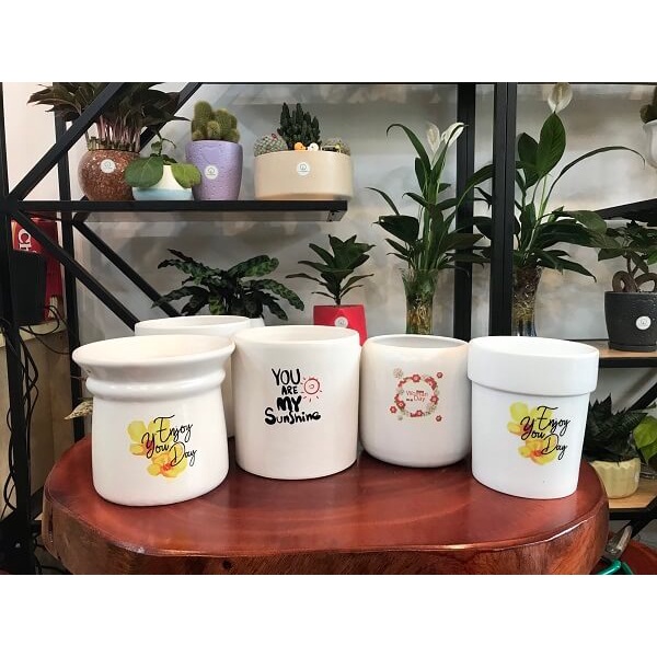 MÁY IN 6 MÀU A3 EPSON L1800