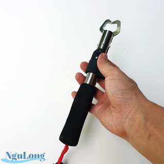 Bộ combo kìm kẹp cá hàng khỏe đẹp