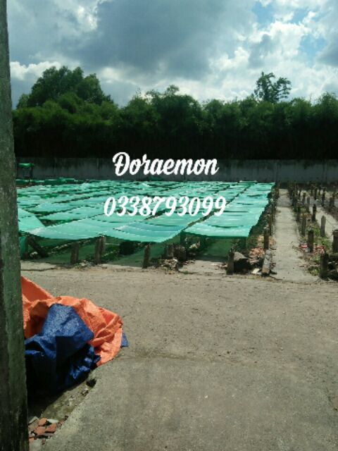 Combo 5kg bánh góc dày dùng để phơi sương