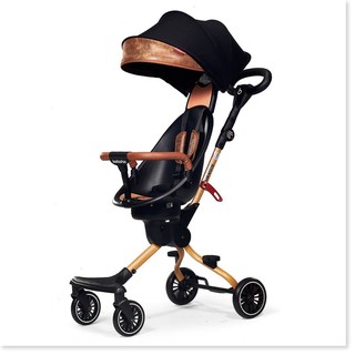 Xe đẩy đi bộ 2 chiều gấp gọn V5B