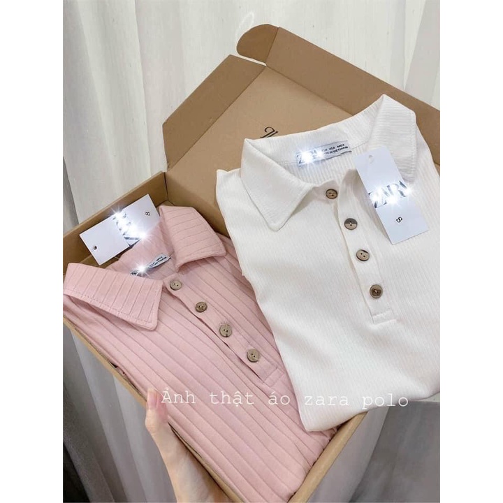 Áo polo cổ đức | BigBuy360 - bigbuy360.vn