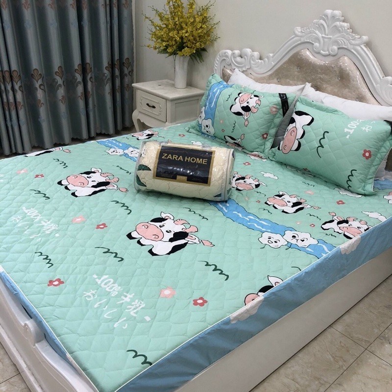 SÉT GA GỐI CHUN TRẦN COTTON POLY BÒ SỮA