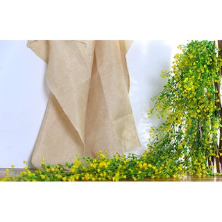 Dây leo lá rong decor trang trí ( loại 1)
