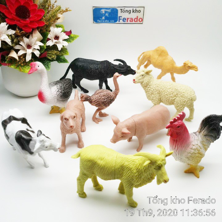 Bộ 10 mô hình đồ chơi động vật rừng cho trẻ em