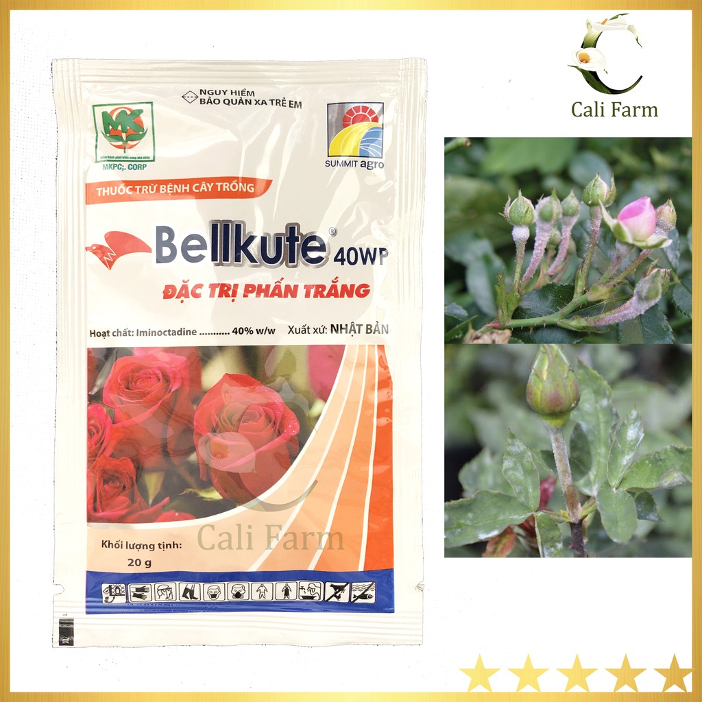 Bellkute 40WP trừ bệnh phấn trắng cây hoa hồng gói 20gram