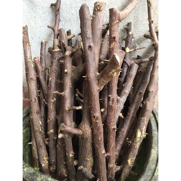 2kg hom hoa giấy mỹ màu đỏ hồng