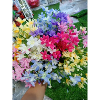 Hoa Giả-Chùm Hoa Thủy Tiên Cực Đẹp
