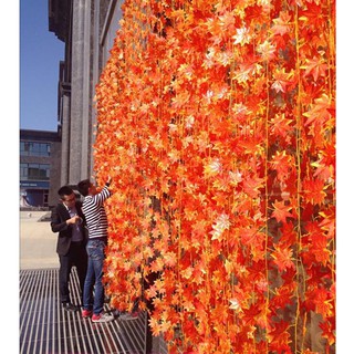 Combo 10M dây leo rừng + 1 đinh + 2 kẽm cột + 2 nhựa cột