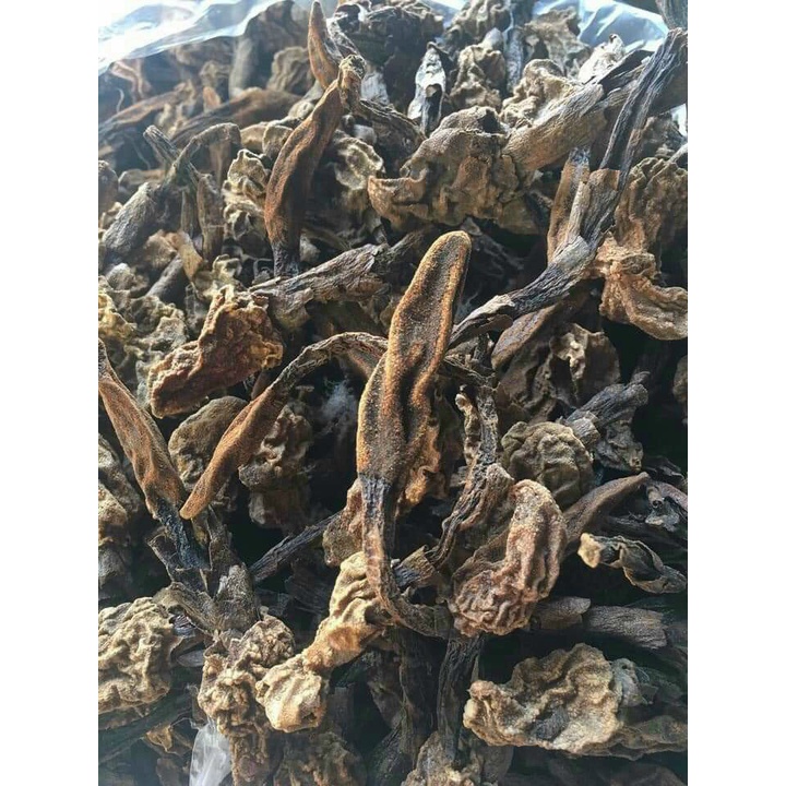 [Chính hãng] Nấm ngọc cẩu hàng tự nhiên sấy khô tuyển chọn lọc kỹ trước khi đóng gói