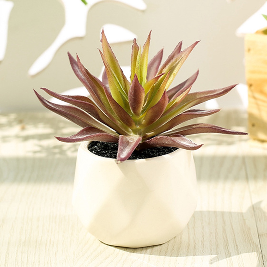 Chậu Cây Bonsai Giả Nhiều Tầng Trang Trí Nhà Cửa