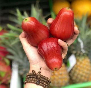 Giống mận đỏ an phước