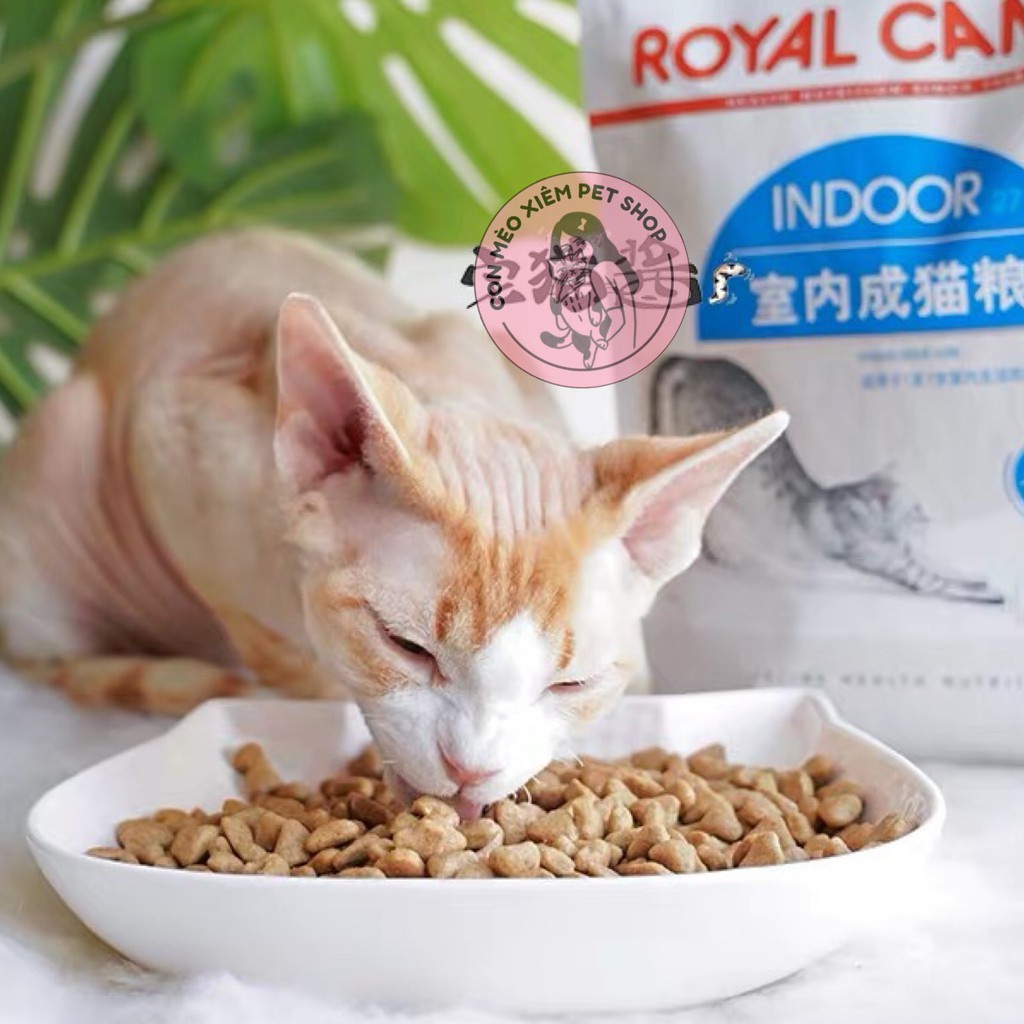 Hạt cho mèo Royal canin indoor 2kg, thức ăn mèo lớn trưởng thành trong nhà Con Mèo Xiêm
