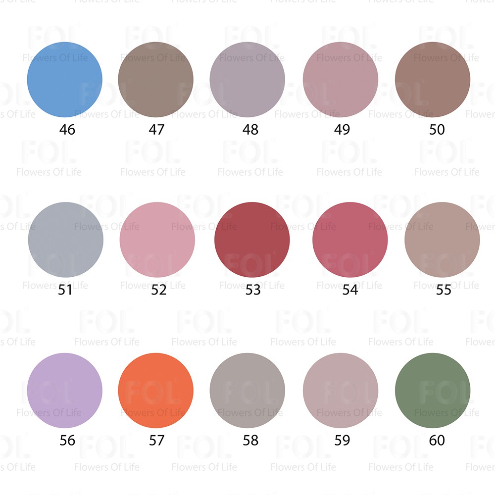 Bột Nhúng Màu Fol 28g (Màu 01 - 50)