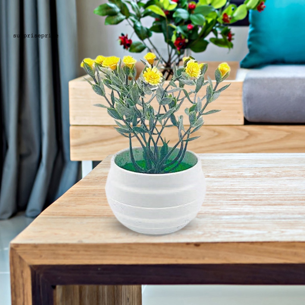 Cây Cảnh Giả Không Phai Màu Trang Trí Nhà Cửa