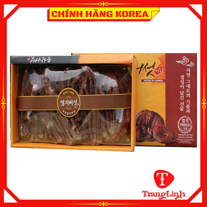 Nấm linh chi sừng hươu thượng hạng, hộp 0,5kg - Thải độc gan, thanh lọc cơ thể, phòng ung thư - tranglinhkorea