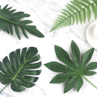 Lá cây trang trí chụp ảnh sản phẩm