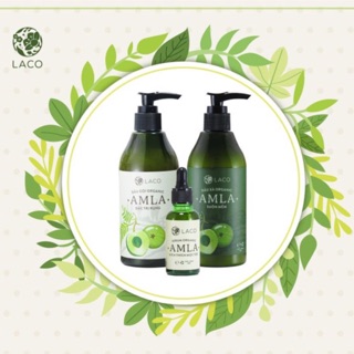 Bộ dầu gội AMLA