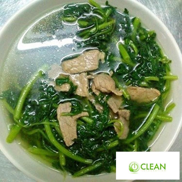 Hạt giống Rau tần ô