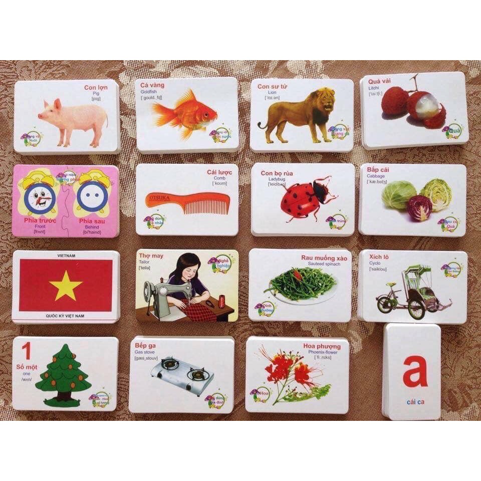 Bộ Thẻ Học Flashcards Cho Bé 416 Thẻ-16 Chủ Đề Song Ngữ Anh Việt Bibo