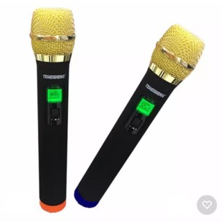 Bộ 2 micro không dây Temeisheng W-48