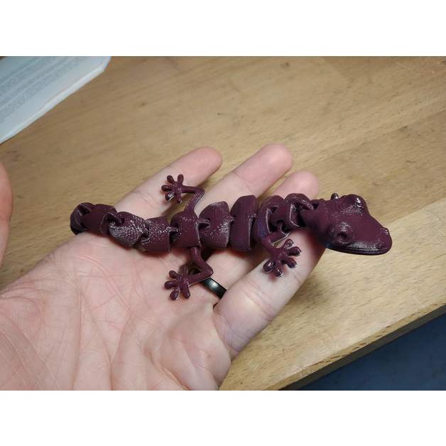 Thằn lằn ArticulatedLizard