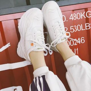 Combo 5 đôi giày sneaker nữ siêu hót