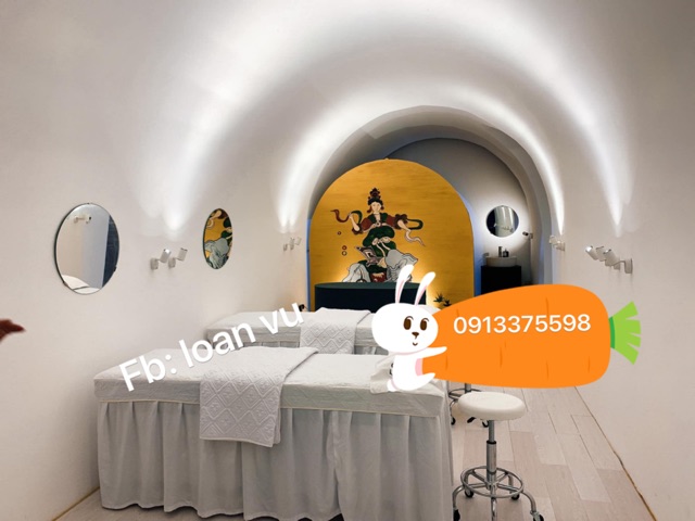 Ga trải giường spa