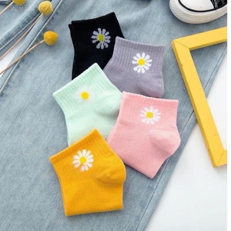 Set 10 Đôi Tất Cotton Hoa Cúc Siêu Hot Túi Rút
