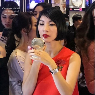 Phấn phủ