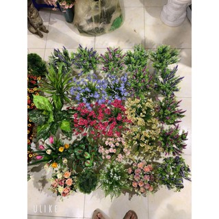 chậu hoa mini để bàn