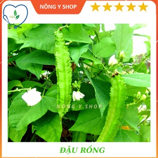 Gói 10g - Túi 5 hạt - Giống Đậu rồng Rado 02