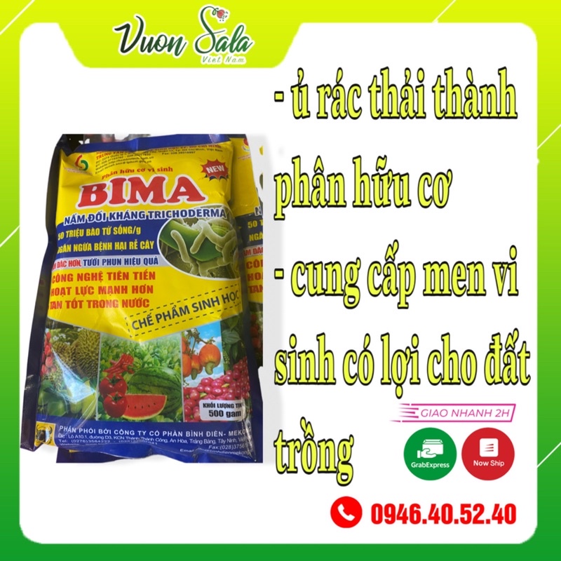 Chế phẩm sinh học ủ rác thành phân - nấm đối kháng trichoderma