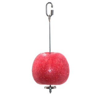 CÂY INOX GHIM TRÁI CÂY CHO VẸT