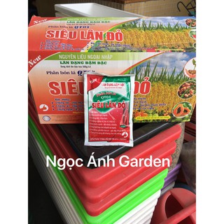 Siêu Lân đỏ - siêu ra rễ - lân dạng đậm đặc