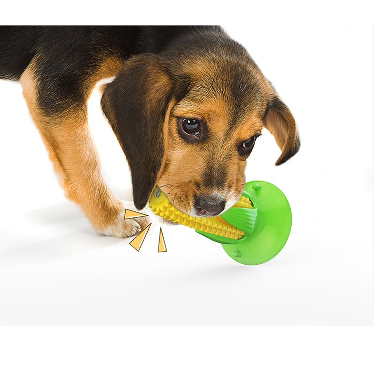 Đồ chơi cho chó mèo , đồ gặm hình trái bắp giúp sạch răng cho thú cưng