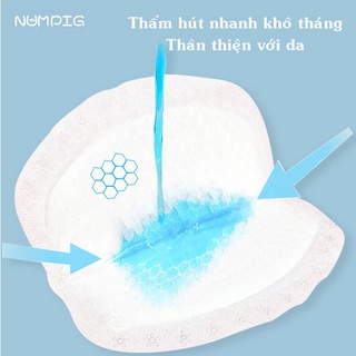 Miếng lót thấm sữa V-cool - Bịch 50 miếng