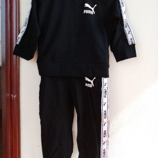 Bộ puma
