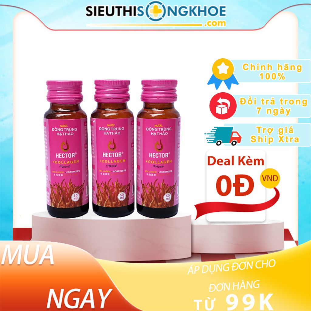 [CHÍNH HÃNG] Nước Hector Collagen Đông Trùng Hạ Thảo 1 hộp 10 chai
