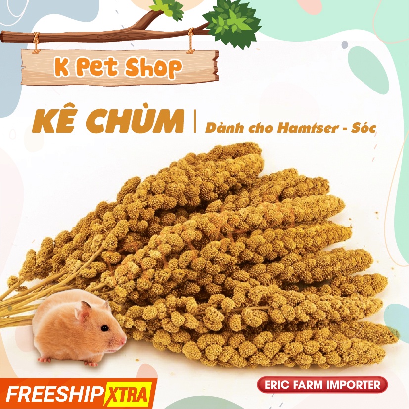 Kê Chùm Thức Ăn Bổ Dưỡng  FREE SHIP  Thức Ăn Cho Hamter Vẹt Sóc....