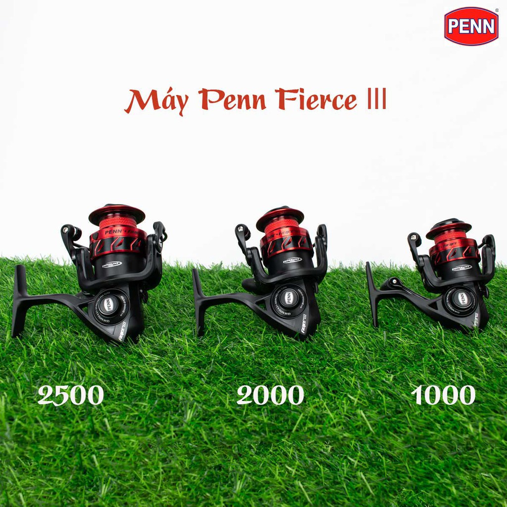 Máy câu Penn Fierce III FRCIII